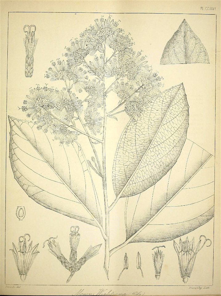 n94_w1150