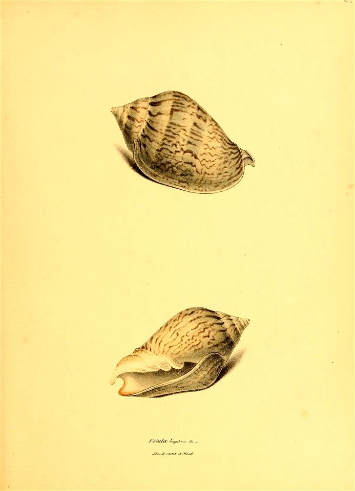 n194_w1150