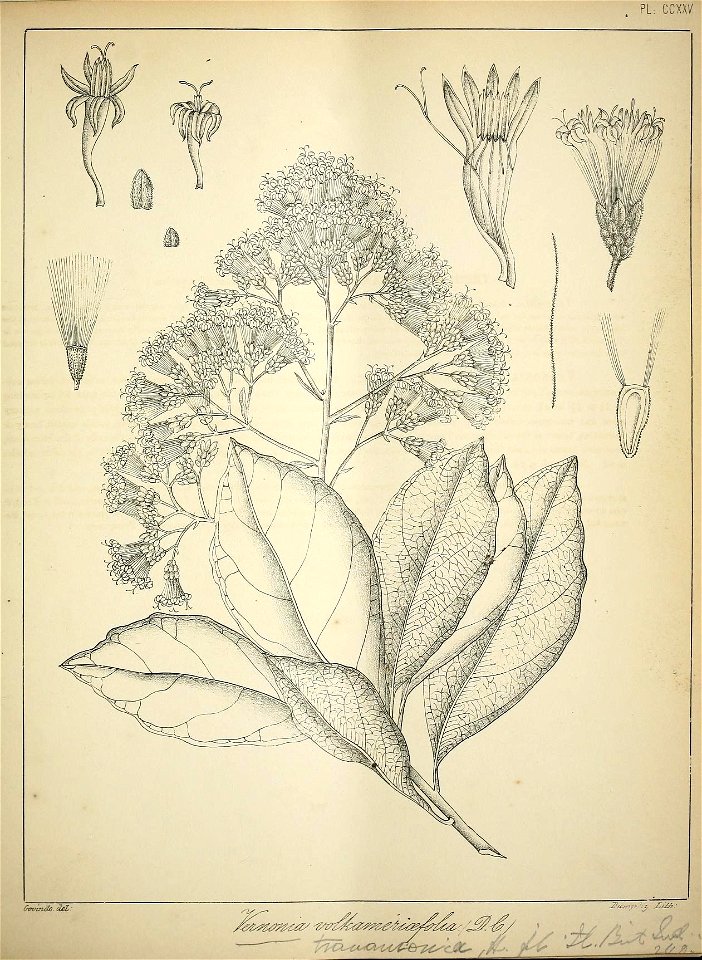 n90_w1150