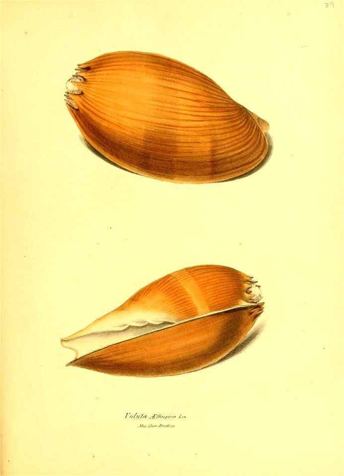 n190_w1150