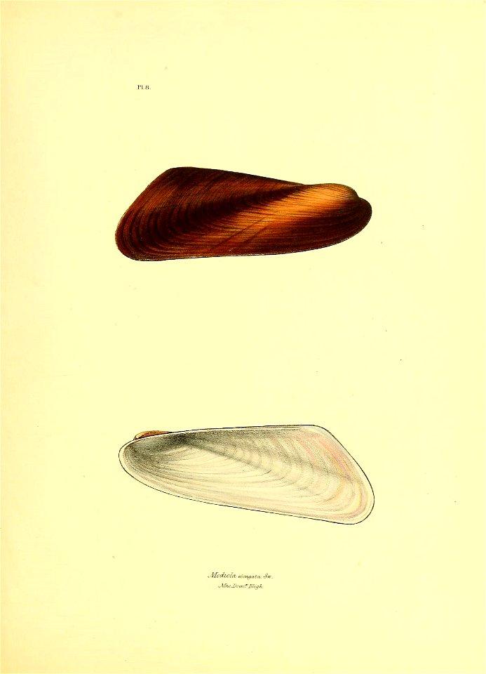 n74_w1150