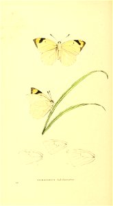 n151_w1150