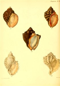 n403_w1150