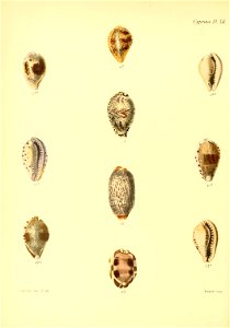 n209_w1150