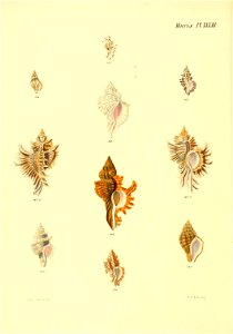 n139_w1150