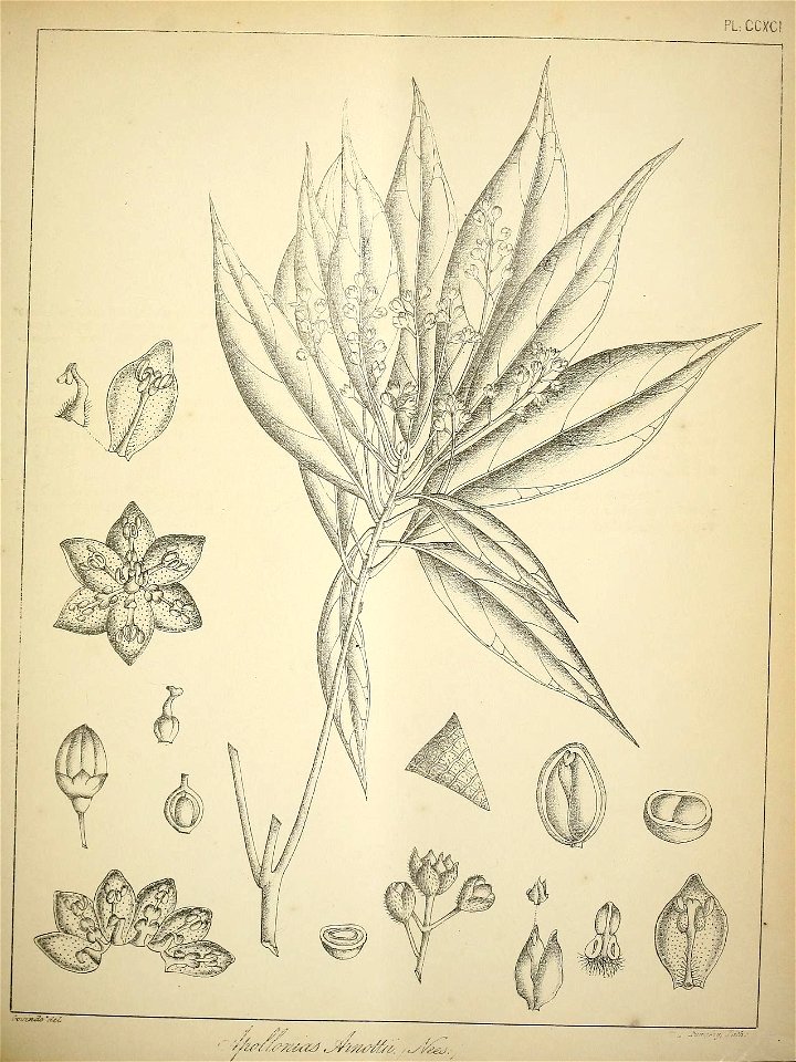 n356_w1150