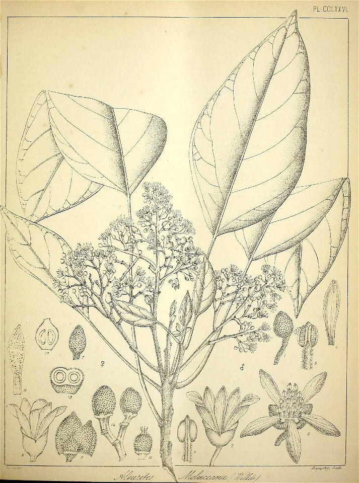 n296_w1150