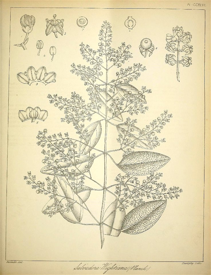 n178_w1150