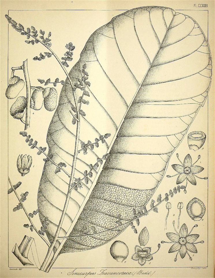 n118_w1150