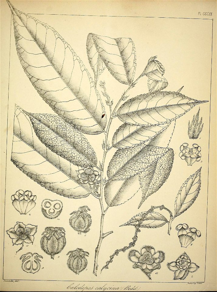 n470_w1150