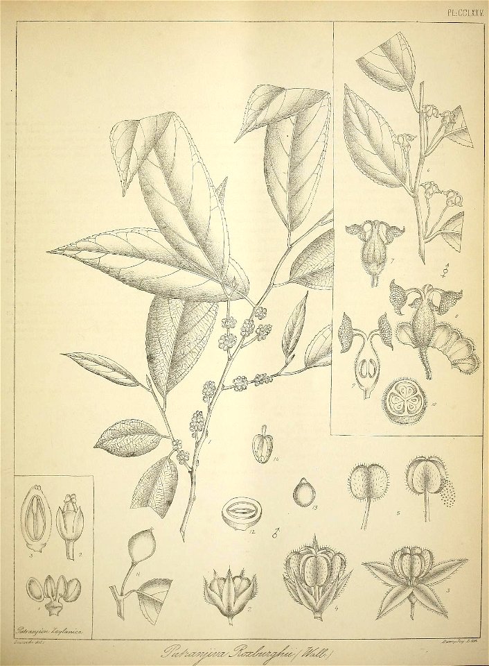 n292_w1150