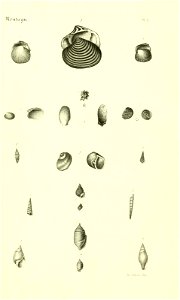 n424_w1150