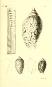 n128_w1150