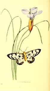 n157_w1150