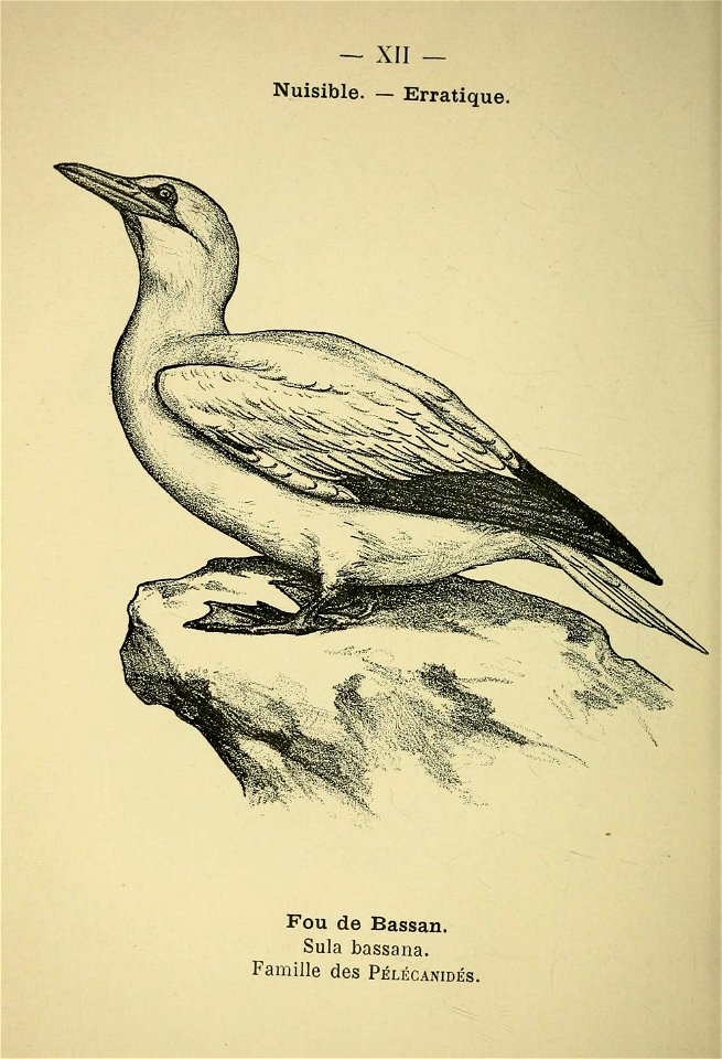n171_w1150