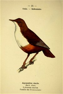 n57_w1150