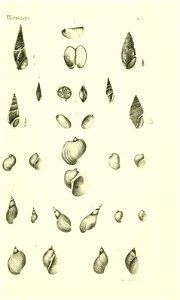 n412_w1150