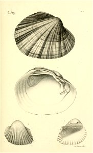 n92_w1150