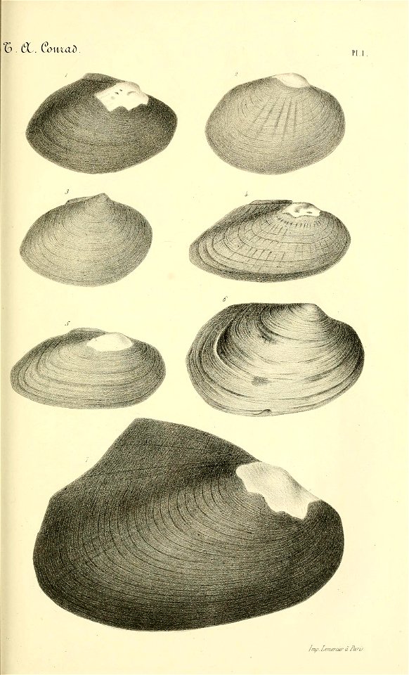 n182_w1150