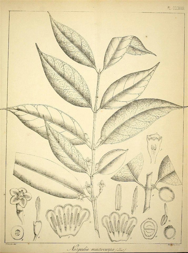 n486_w1150