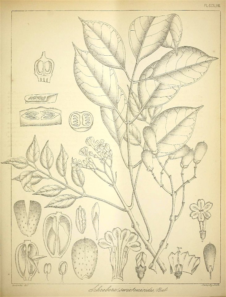 n182_w1150