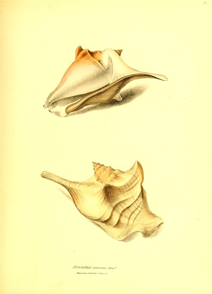 n164_w1150