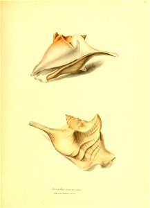 n164_w1150