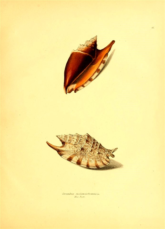n220_w1150