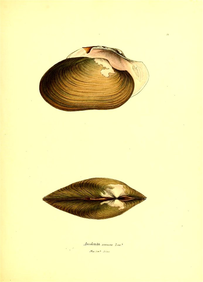 n104_w1150