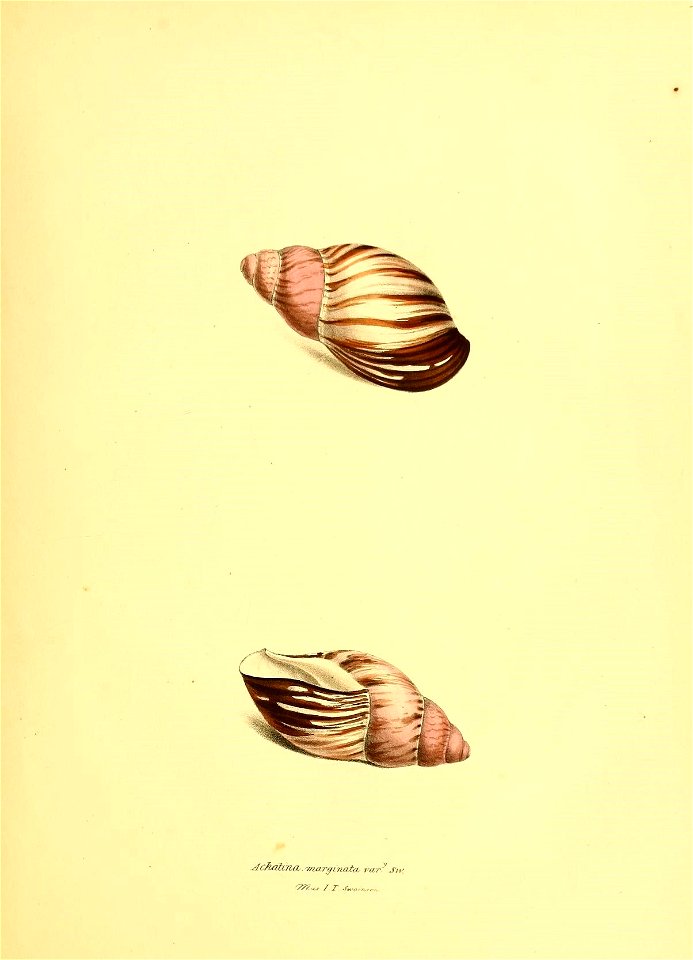 n50_w1150