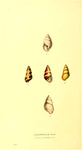 n199_w1150
