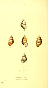 n109_w1150
