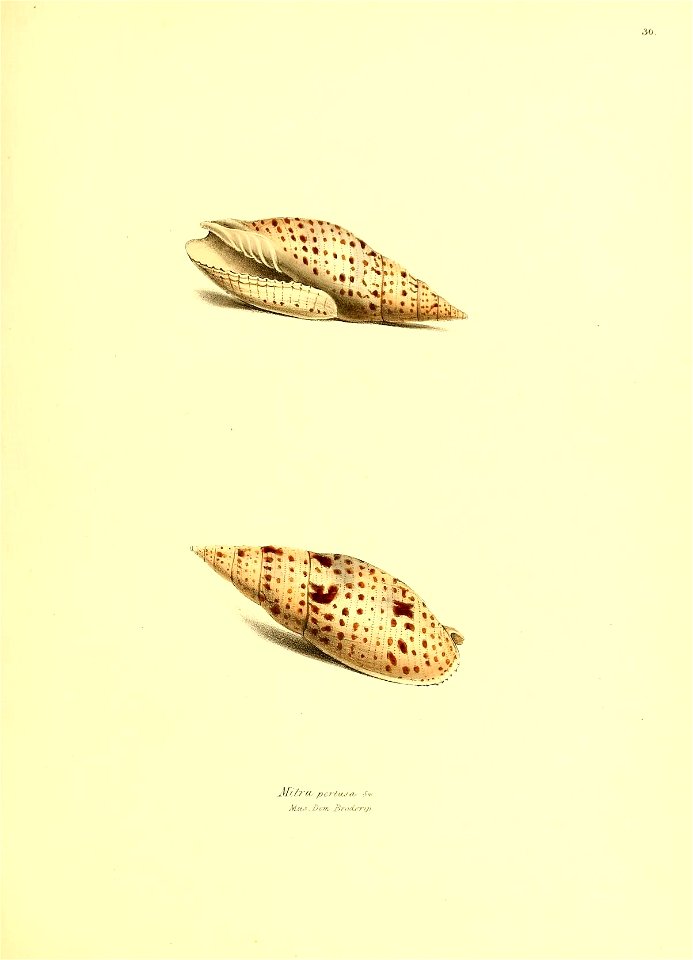 n160_w1150