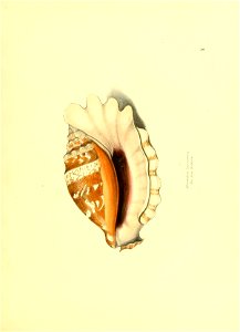 n216_w1150