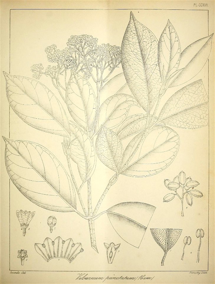 n58_w1150
