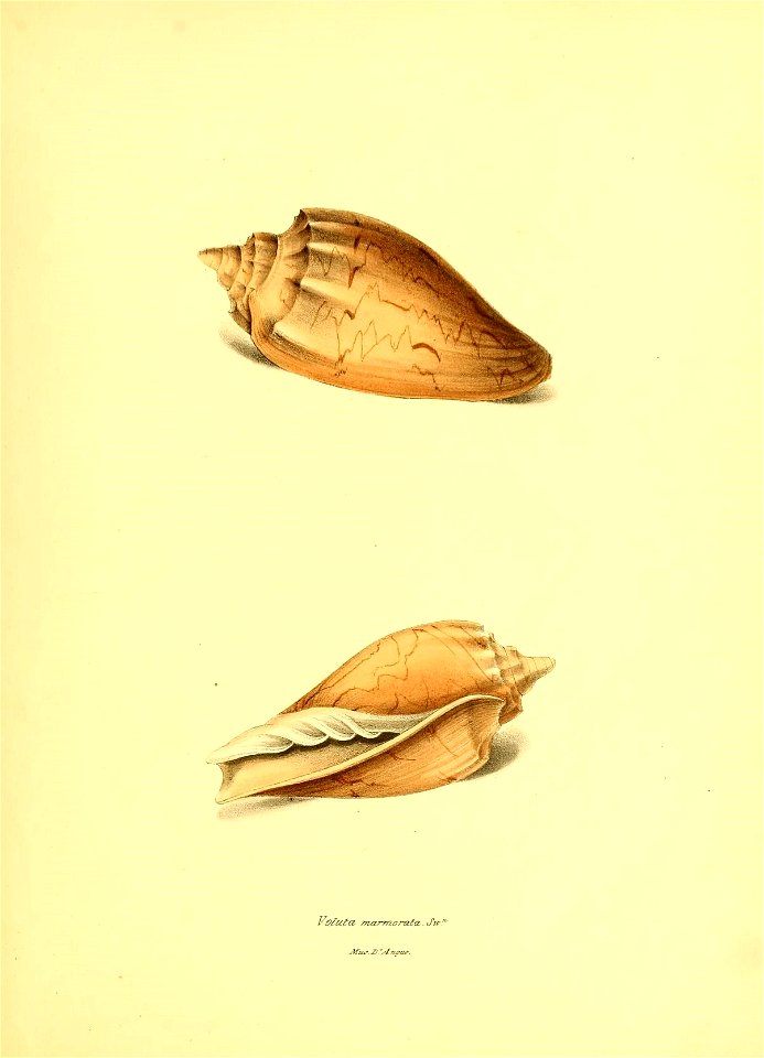 n46_w1150