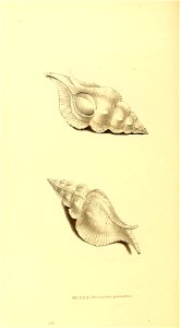 n193_w1150