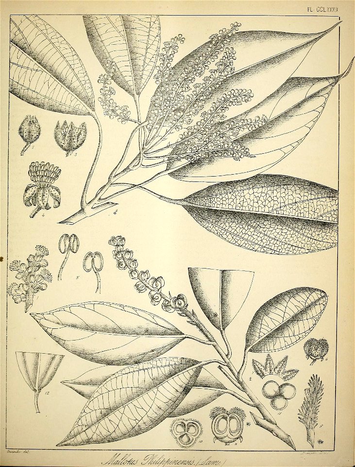 n348_w1150