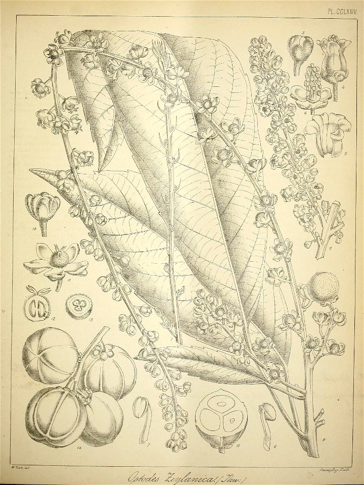 n288_w1150