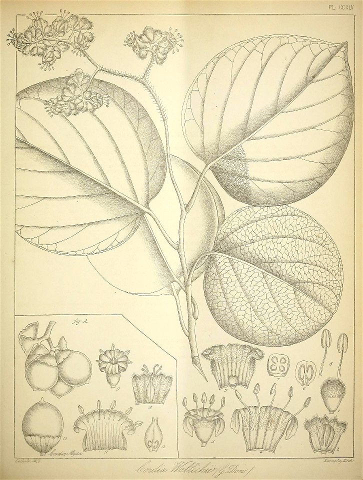 n170_w1150