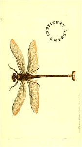 n172_w1150