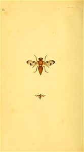 n119_w1150