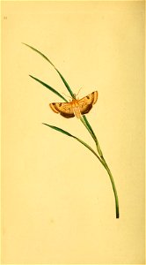 n115_w1150