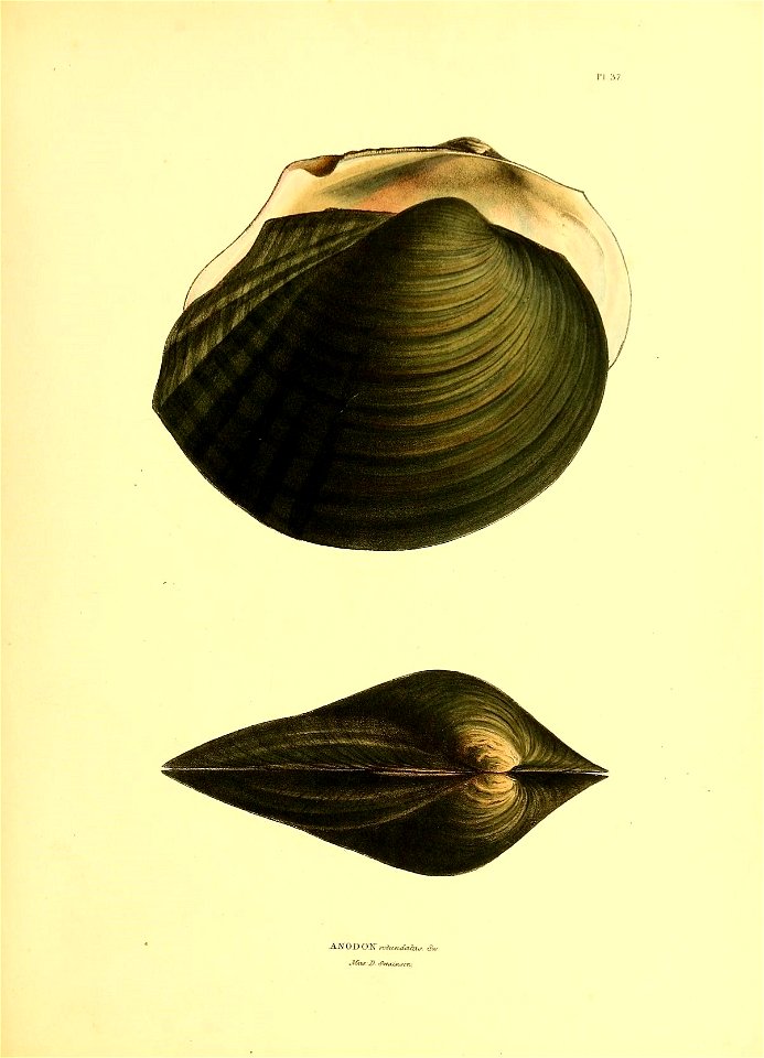 n186_w1150