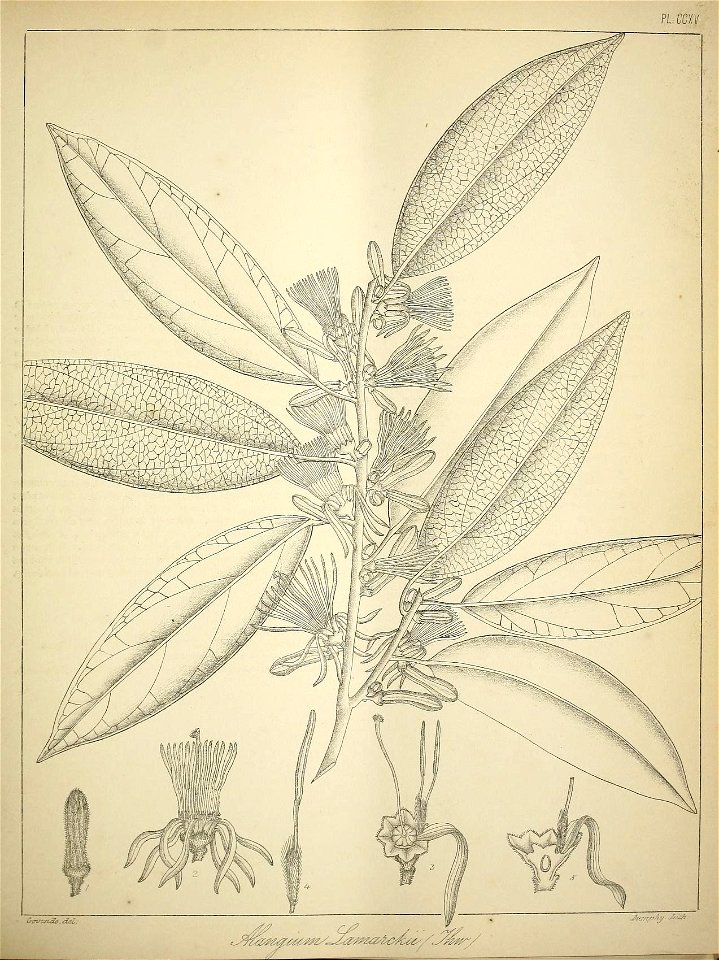 n50_w1150