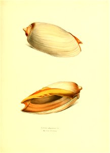 n152_w1150