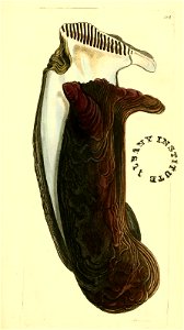 n254_w1150