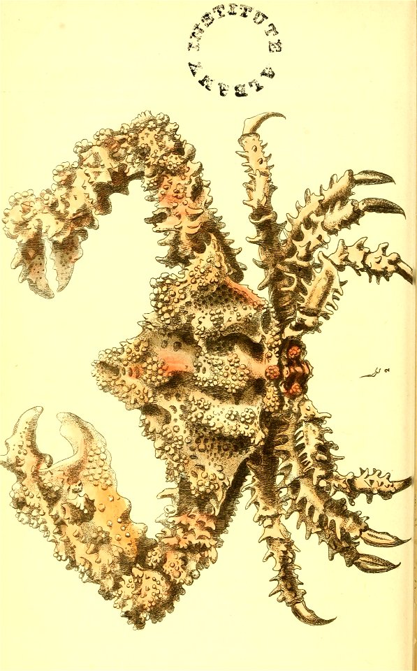 n187_w1150