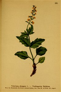n192_w1150