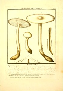 n8_w1150